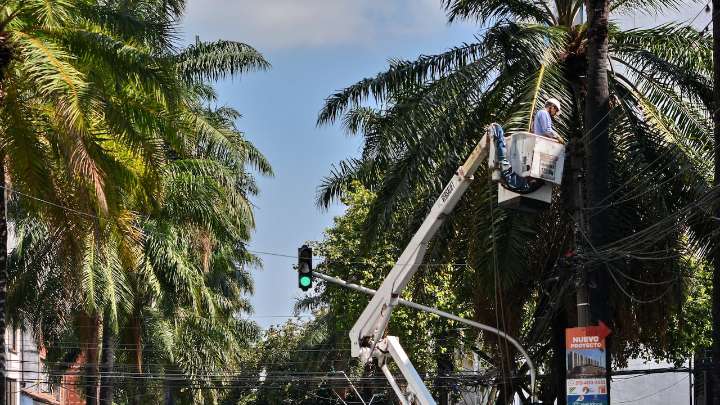 Revelan informe que cuestiona la planeación de Emcali y detiene el nuevo esquema de alumbrado público de Cali, detalles