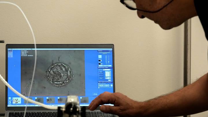 'Unborn child' liability bill: What it means for Florida doctors, patients