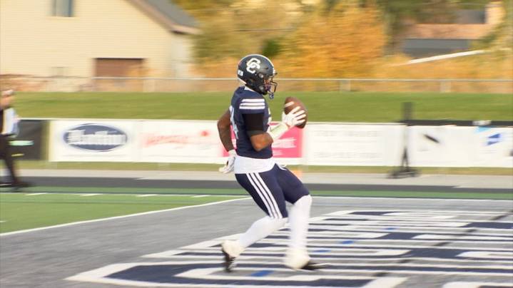 Beehive Blitz- Quarterfinals: Schedule and Scoreboard