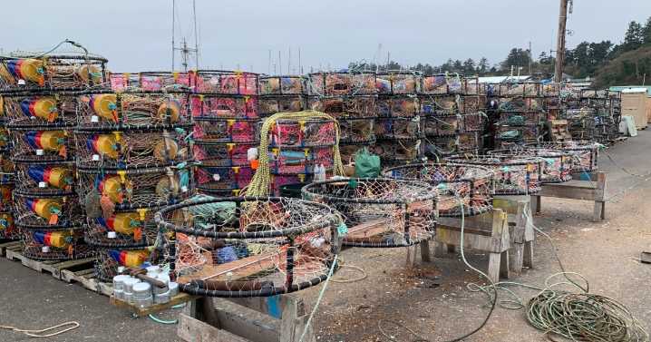 Commercial Dungeness season delayed until at least Dec. 16, ODFW announces Friday, to wait for Washington improvements