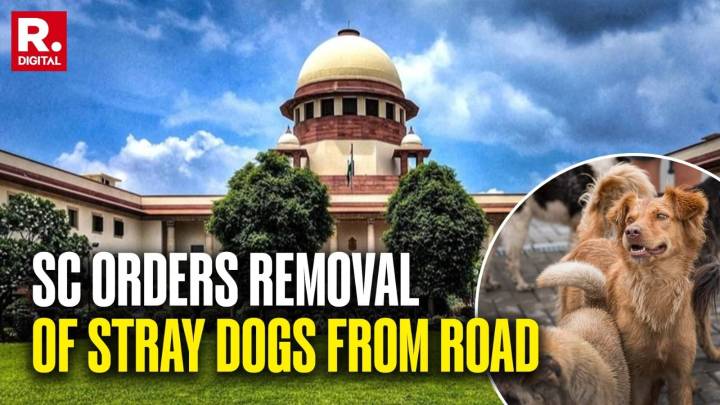 SC’s Big Order On Stray Dogs: ‘Remove Them From Hospitals, Schools…' India News