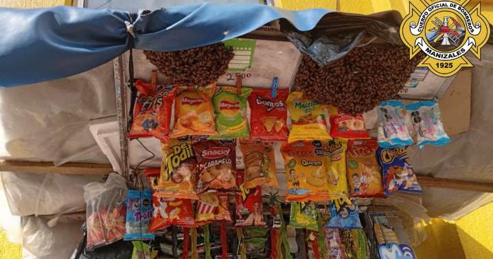 Video: enjambre de abejas invadió un puesto de dulces y causó susto en el Centro de Manizales