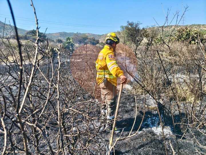 Sierra de Tepotzotlán presenta el primer incendio de la temporada