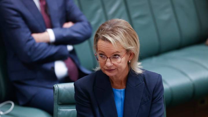 'Cannot support the way things are': Sarah Henderson voices doubt on Sussan Ley's leadership ahead of Liberal net zero meeting