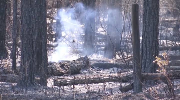 Alabama forestry leaders urge caution when burning