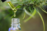 Hemp-derived THC products face uncertain future
