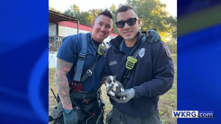 Puppy rescued from ductwork by Escambia County Fire Rescue