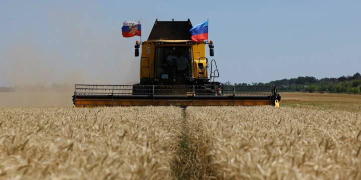“Megacampaña”: la cosecha de trigo se encamina a marcar un récord histórico