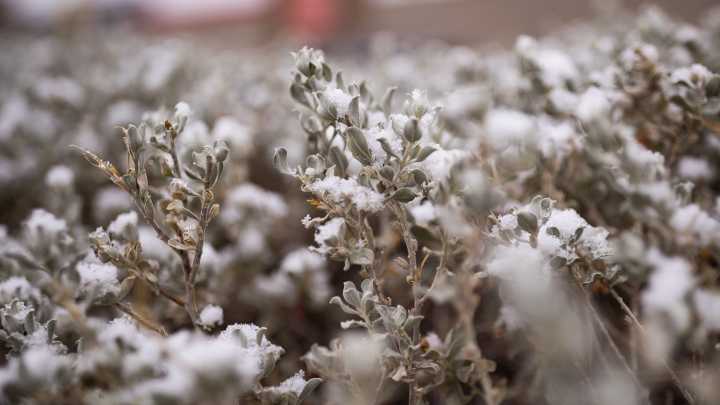 Illinois weather forecast for the weekend. When will it snow?