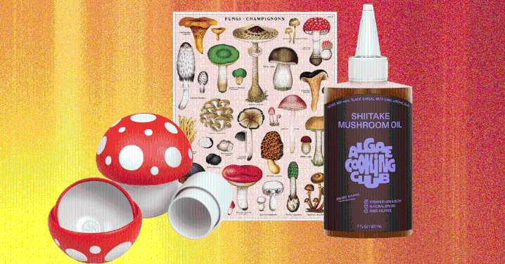 Mushrooms Galore: Best Gifts for Your Fungi Friend