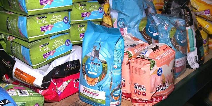 Free pet food pantry launched to help families in need this November