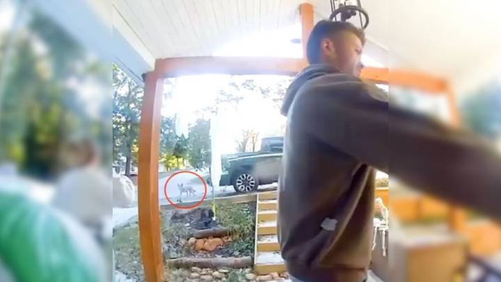 South Carolina Couple Stunned To Learn the “Coyote” Following Them Wasn’t A Coyote At All