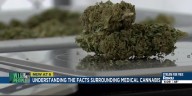 ‘Will of the People’: Understanding the facts surrounding medical cannabis