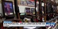 New proposed bill aims at lowering gun