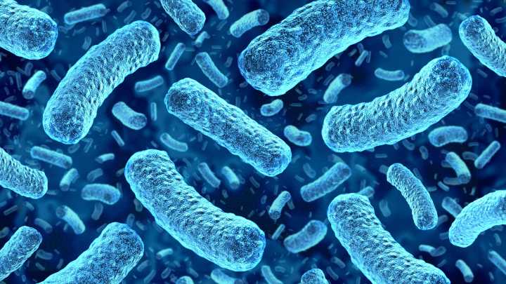 Pasta products recalled for Listeria contamination, with…