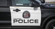 Calgary police use air support to help catch carjacking suspect