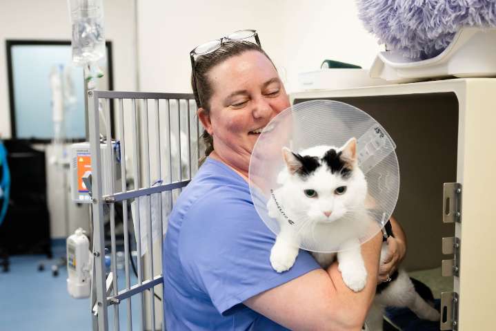 Growing veterinary clinic opens 4th West Michigan hospital