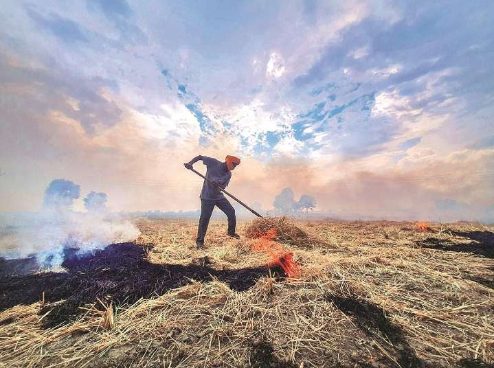 ‘Haryana has shown sharp decline’; CAQM asks Punjab to act swiftly on stubble burning