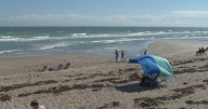 $5.4 million Bathtub Beach project in Martin County passes first weather test