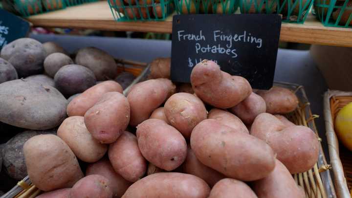 Potato giant agrees to pay Midwest workers for violations