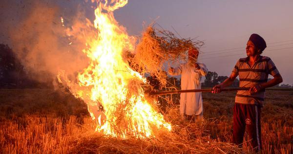 SC to examine if Punjab, Haryana farmers are evading satellite surveillance to burn crop stubble