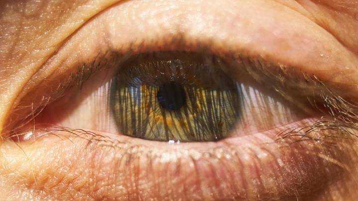 Trasplante de células de insulina en el ojo: un avance prometedor contra la diabetes