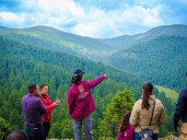 Tlalpan combate tala de forma positiva con desmantelamiento de aserraderos