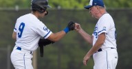 Guelph Royals pro baseball club up for sale for $750K