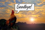 The Farmer's Almanac Announces 2026 Will be the Last Edition Ever