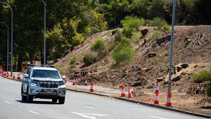 New Perth quarantine zones quietly adopted as shot-hole borer march advances into hills