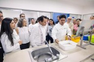 Mosquitos buenos: la apuesta de Yucatán para combatir el dengue, zika y chikungunya