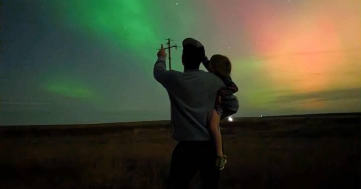 Trending News (Wednesday, November 12, 2025)