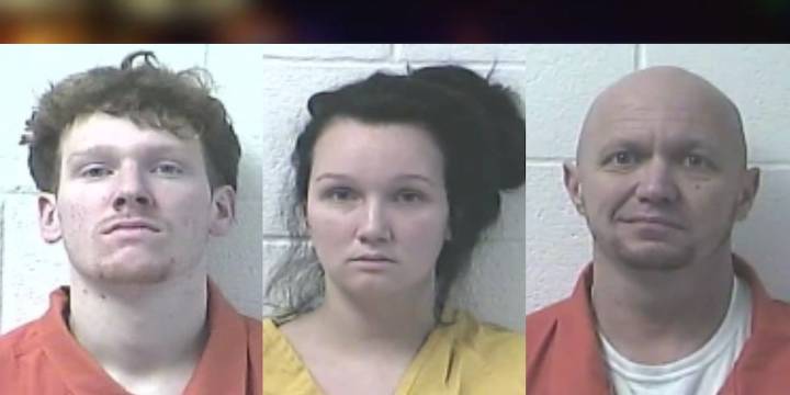 Three arrested for psychedelic mushroom grow operation in Owensboro