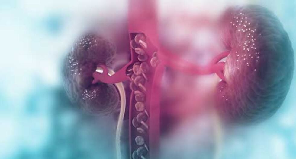 Comer para vivir: La relación entre los riñones y la anemia