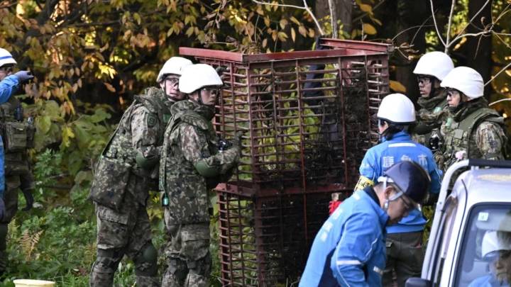 Why Japan’s Military Is Fighting Deadly Bear Attacks
