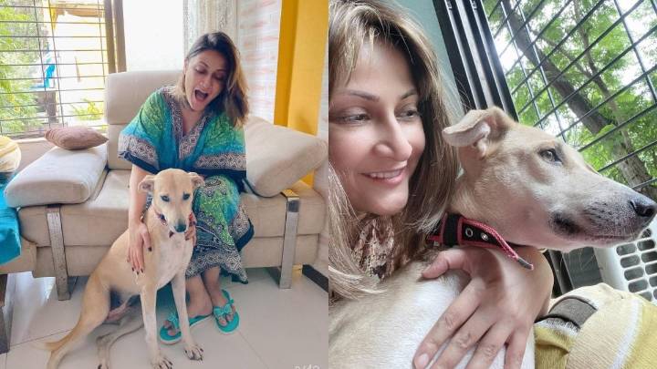 Urvashi Dholakia Hits Back At Trolls Over Stray Dog Posts After SC Order: 'Your Negativity & Petty Thoughts…'
