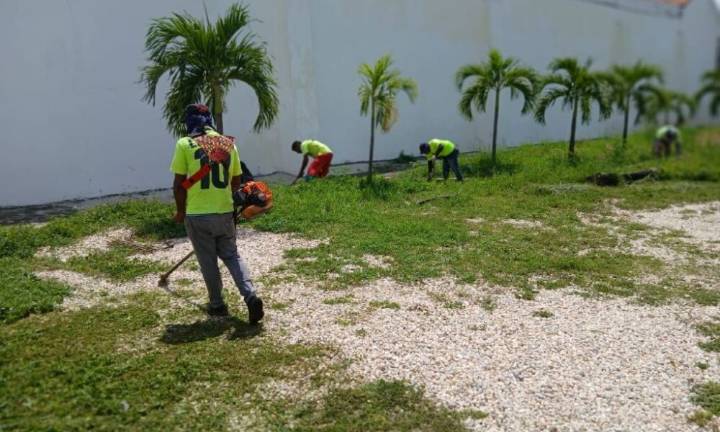 Gobierno de Carabobo realizó abordaje de desmalezado en diferentes zonas