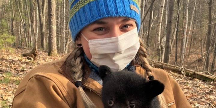 DNR asks public to report black bear den locations for research study