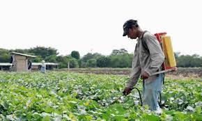 Gobierno fija arancel del 0% para insumos agrícolas y busca aliviar costos del campo colombiano