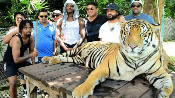 Elder fraud scam targets 500+ seniors, San Diegans arrested