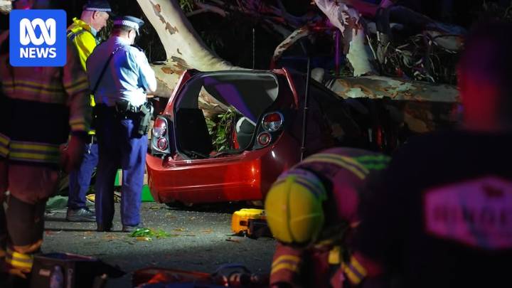 Clean-up underway after stormy weather hits, 400 calls for help in Sydney