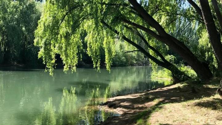 El rincón natural de Neuquén que invita a desconectar entre senderos y paisajes únicos