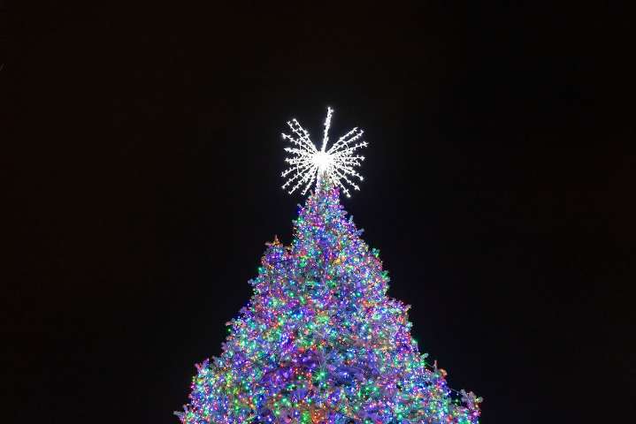 Here’s when 2025 Christmas tree lightings kick off around Grand Rapids