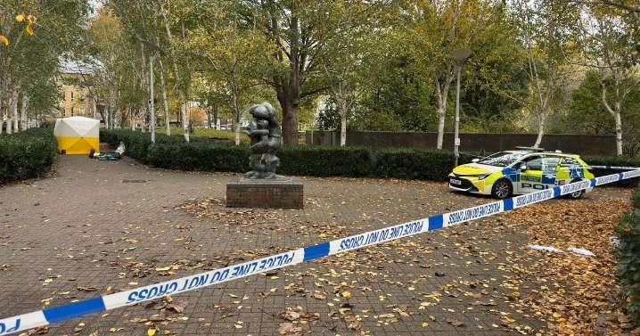 Young woman stabbed in Islington park with Met Police hunting knife attacker