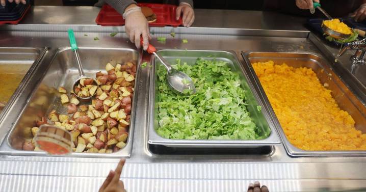 Education notebook: School meal debt erased, author visit and college planning events