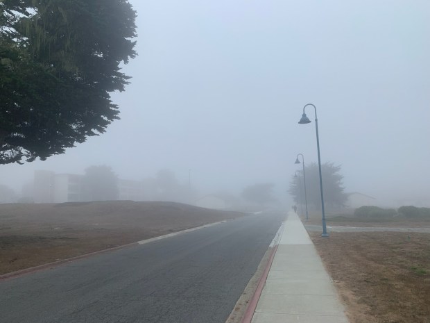 Into the fog: Researching the California coastal staple