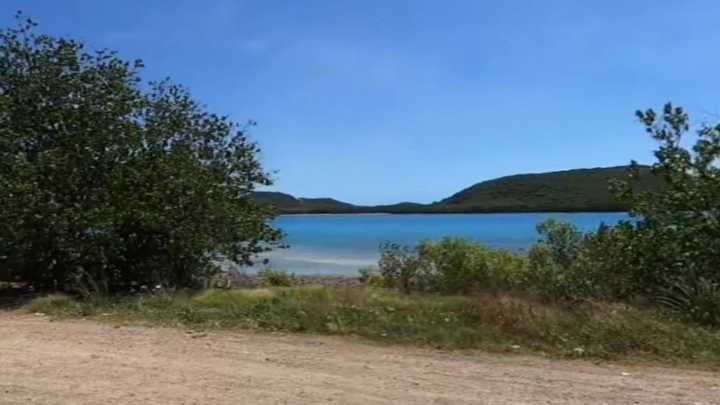 Teenager airlifted to hospital after shark bites his stomach on Thursday Island in Far North Queensland