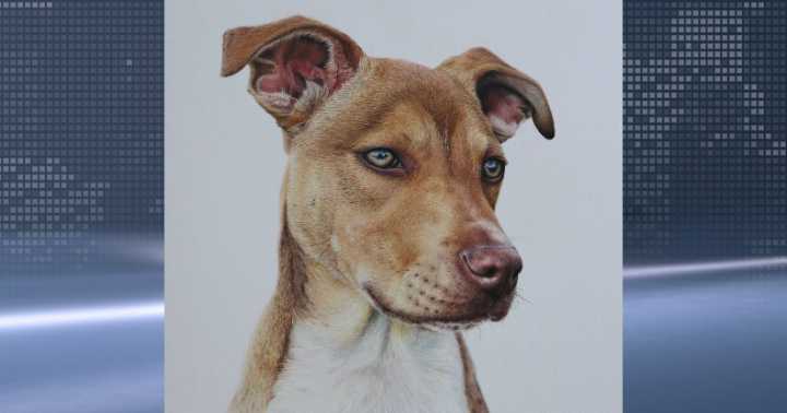 NIACC student earns $500 scholarship for her artwork