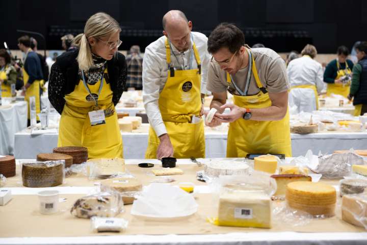 Heady odors and sensory overload as 5,200 cheeses compete for the World Cheese Awards