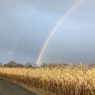 Flex and Innovate, Live and Learn